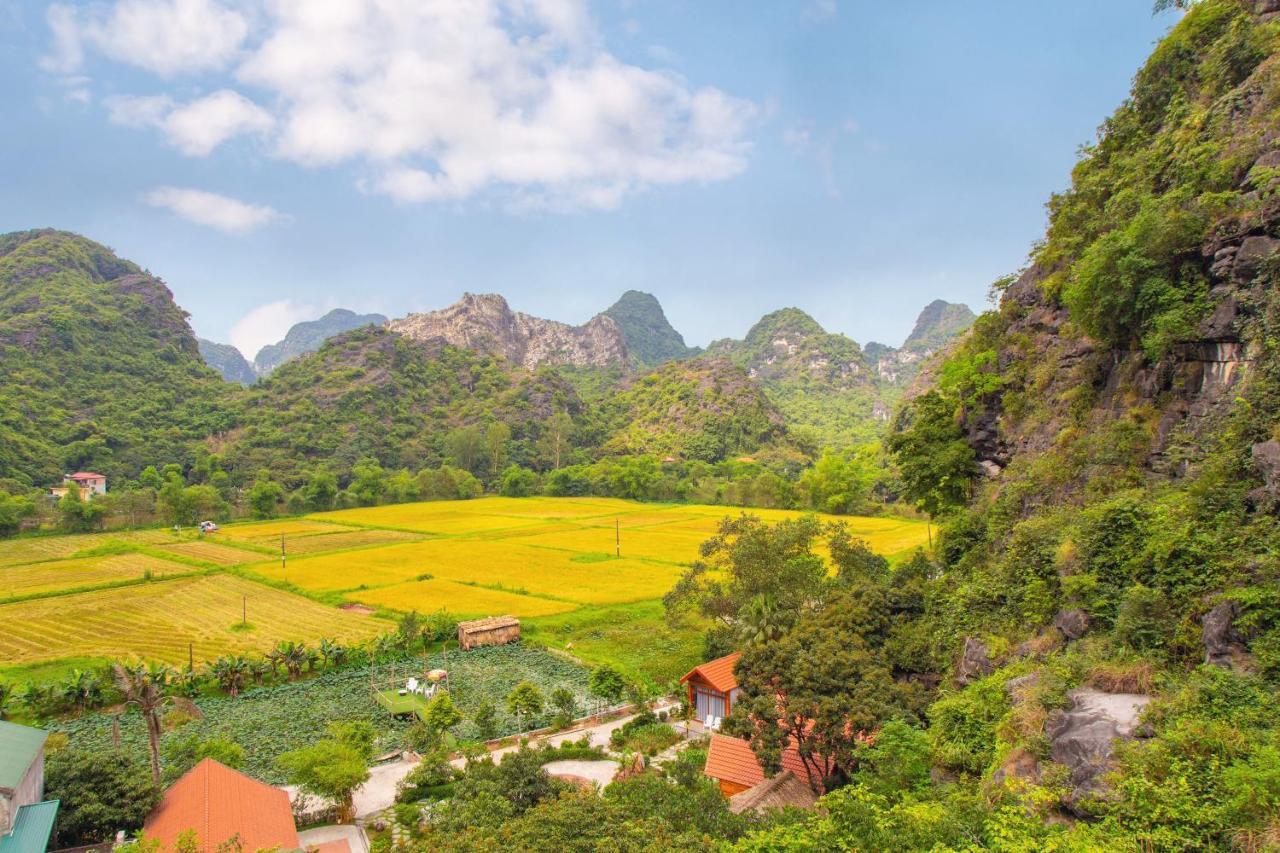 Green Mountain Homestay Ninh Bình Exteriör bild