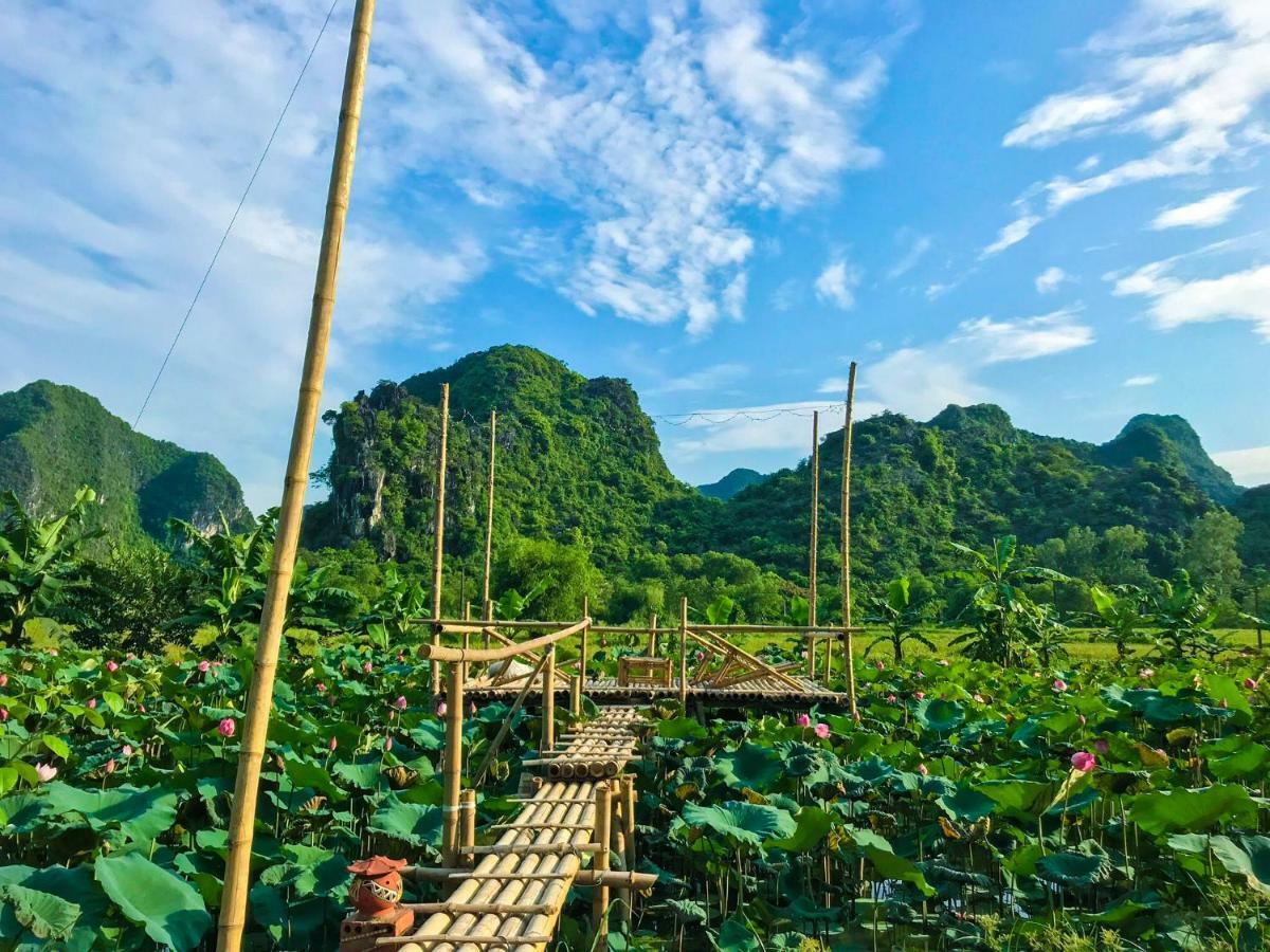 Green Mountain Homestay Ninh Bình Exteriör bild