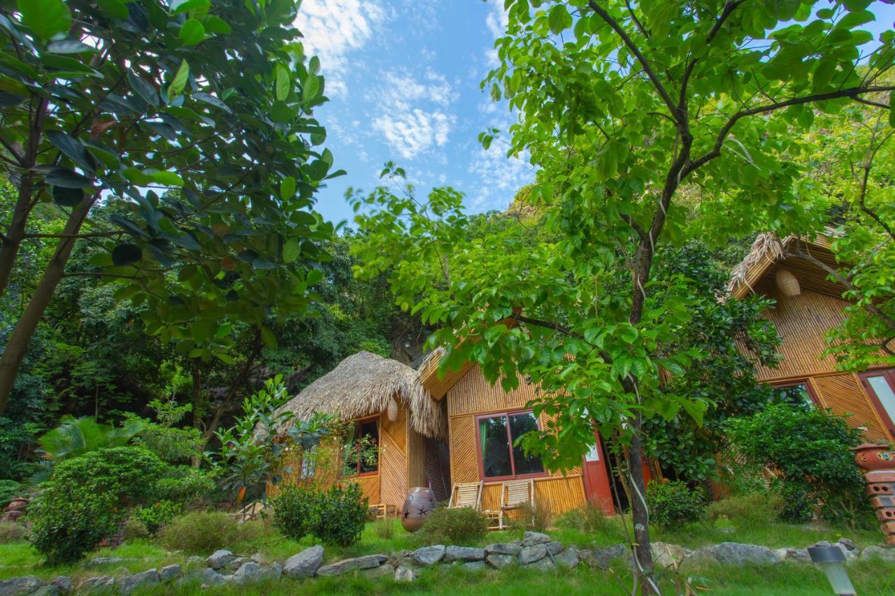 Green Mountain Homestay Ninh Bình Exteriör bild